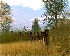 Country Fence