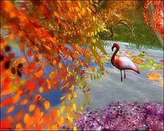 Wading in Color