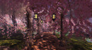 The Beguiled: Art Gallery and Studio
