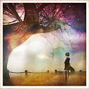 wondering_world13