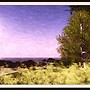Shoreline