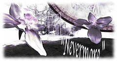 Nevermore - Paul Verlaine