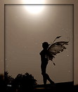 Fairy 1