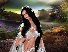 Jungle at the background # 1