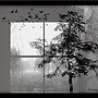 Wet Window