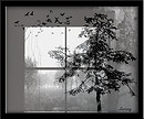 Wet Window