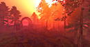 Pink Fairy Dawn