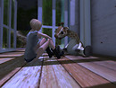 talking with a giraffe (at Onyx Isle)