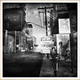 wondering_world14