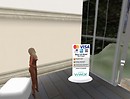 Testing Truth Hair_003