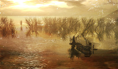The Boat