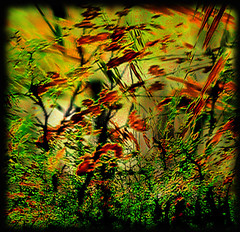 The Garden by Andrew Marvell
