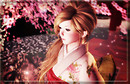 cherry blossoms