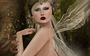 Shena~ Golden wings