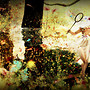 The Fairy Hunt