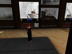 Seeking a model apt part one_001