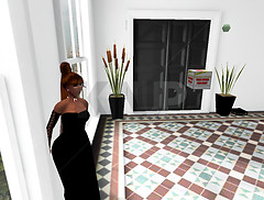 Seeking a model apt part one_002