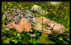 Petals In The Grass by David J. Buchanan