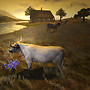 Rural Beauty