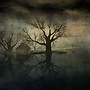 Rain 2304
