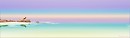 The sea, the beach and the pellican