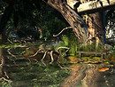 Gallery Sayopiyo 5