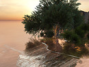 Gallery Sayopiyo 1