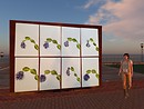 Spiral's Flower Painting in SL - chimera.cosmos