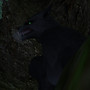 Snapshot_001