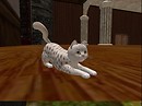Nausicaa_crouch