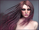 Windblown Update