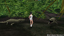 Snapshot3_651