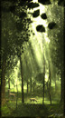 hoLy LighT