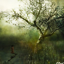 Girl and Tree