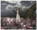 The Night is Darkening Around Me by Emily Bronte