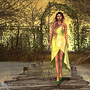 Snapshot_203