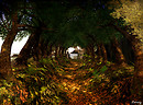 Pathway