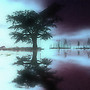 Alone