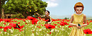 Welcome to Provence