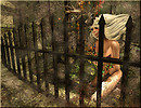 Into The Woods Waiting